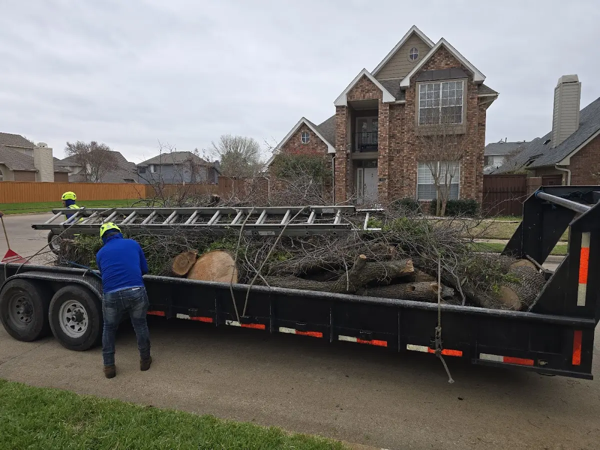 Expert Crown Reduction with proper safety equipment in Loose Creek